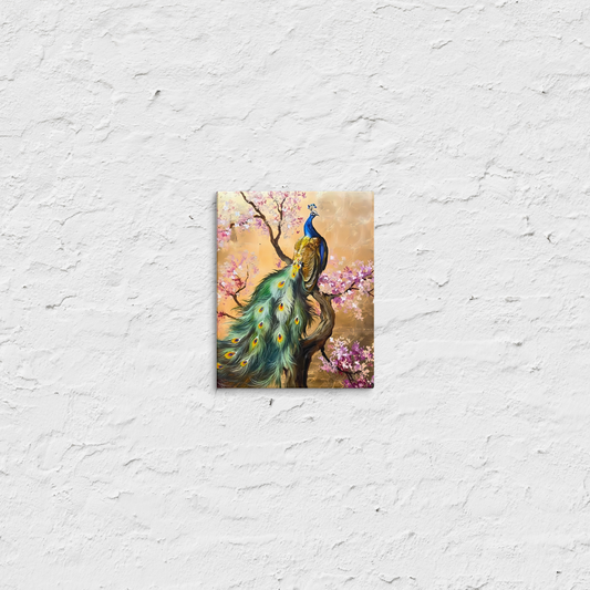 #1119 - Pretty Peacock